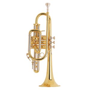 Kèn French Horn,Kèn Cor MW.BOSTON Vàng