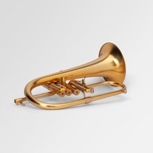 Kèn Flugelhorn Curtis